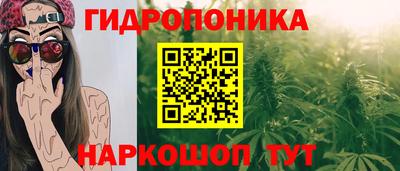 мдпв Нальчик