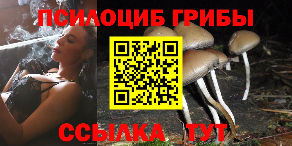 Галлюциногенные грибы Psilocybine cubensis Уссурийск