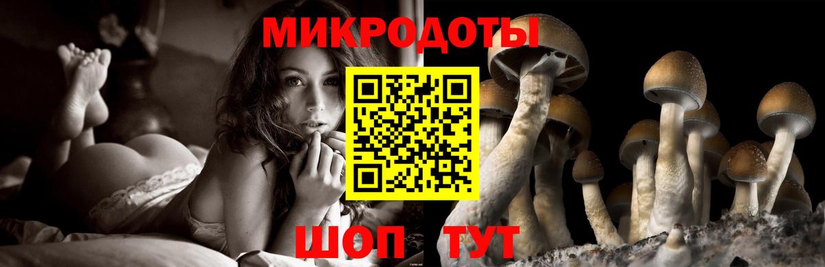 Псилоцибиновые грибы Psilocybine cubensis  Галлюциногенные грибы мицелий  Вход с VPN  Уссурийск 